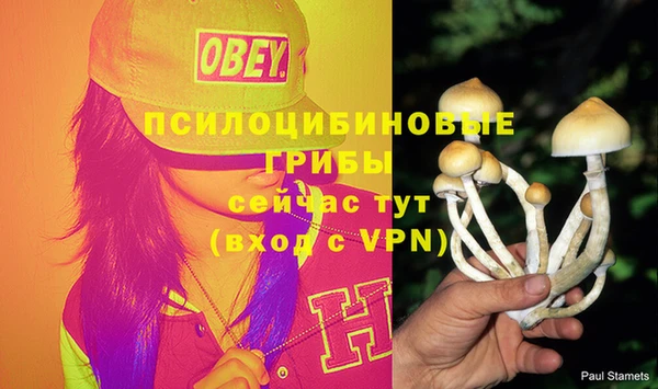 ALPHA PVP Козельск