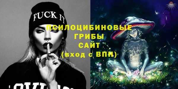 ALPHA PVP Козельск